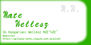 mate wellesz business card